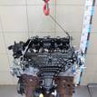 Фото Контрактный (б/у) двигатель UFMA для Ford Kuga 140 л.с 16V 2.0 л Дизельное топливо 1838469 {forloop.counter}}