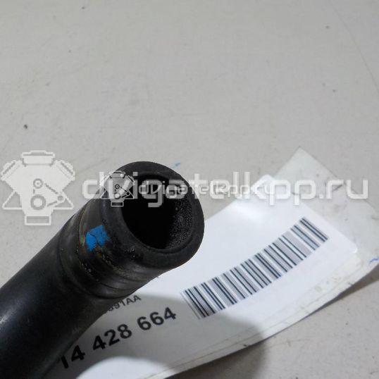 Фото Патрубок  4M513691AA для Ford Focus / C-Max