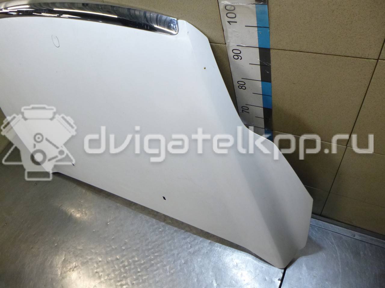 Фото Капот  1521601 для Ford Focus {forloop.counter}}
