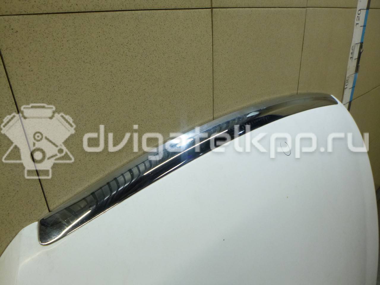 Фото Капот  1521601 для Ford Focus {forloop.counter}}