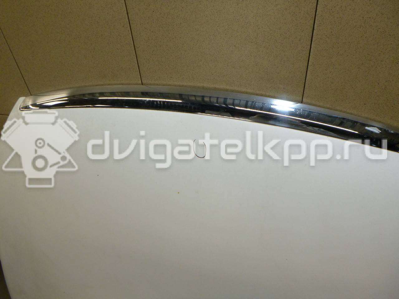 Фото Капот  1521601 для Ford Focus {forloop.counter}}