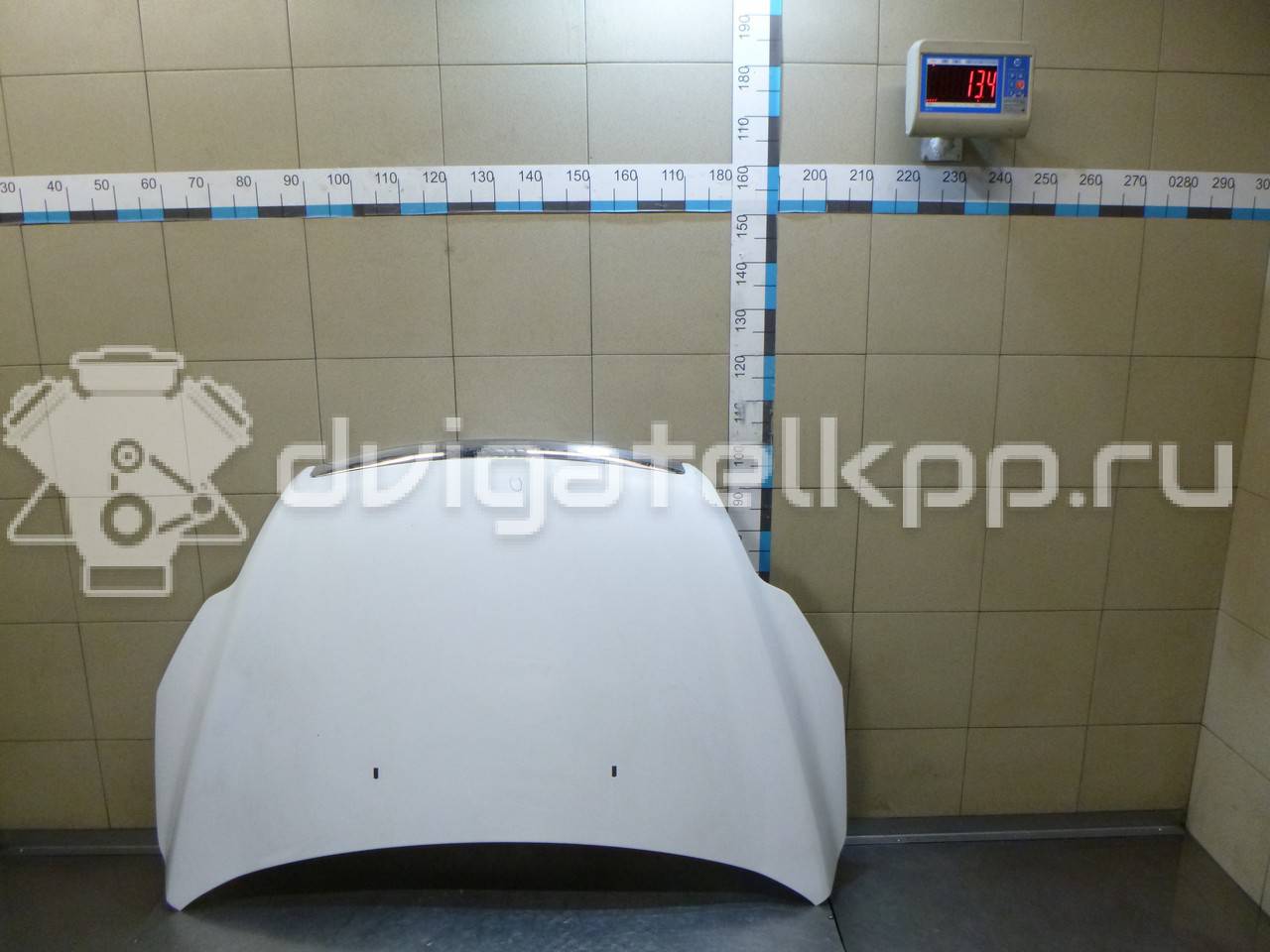 Фото Капот  1521601 для Ford Focus {forloop.counter}}