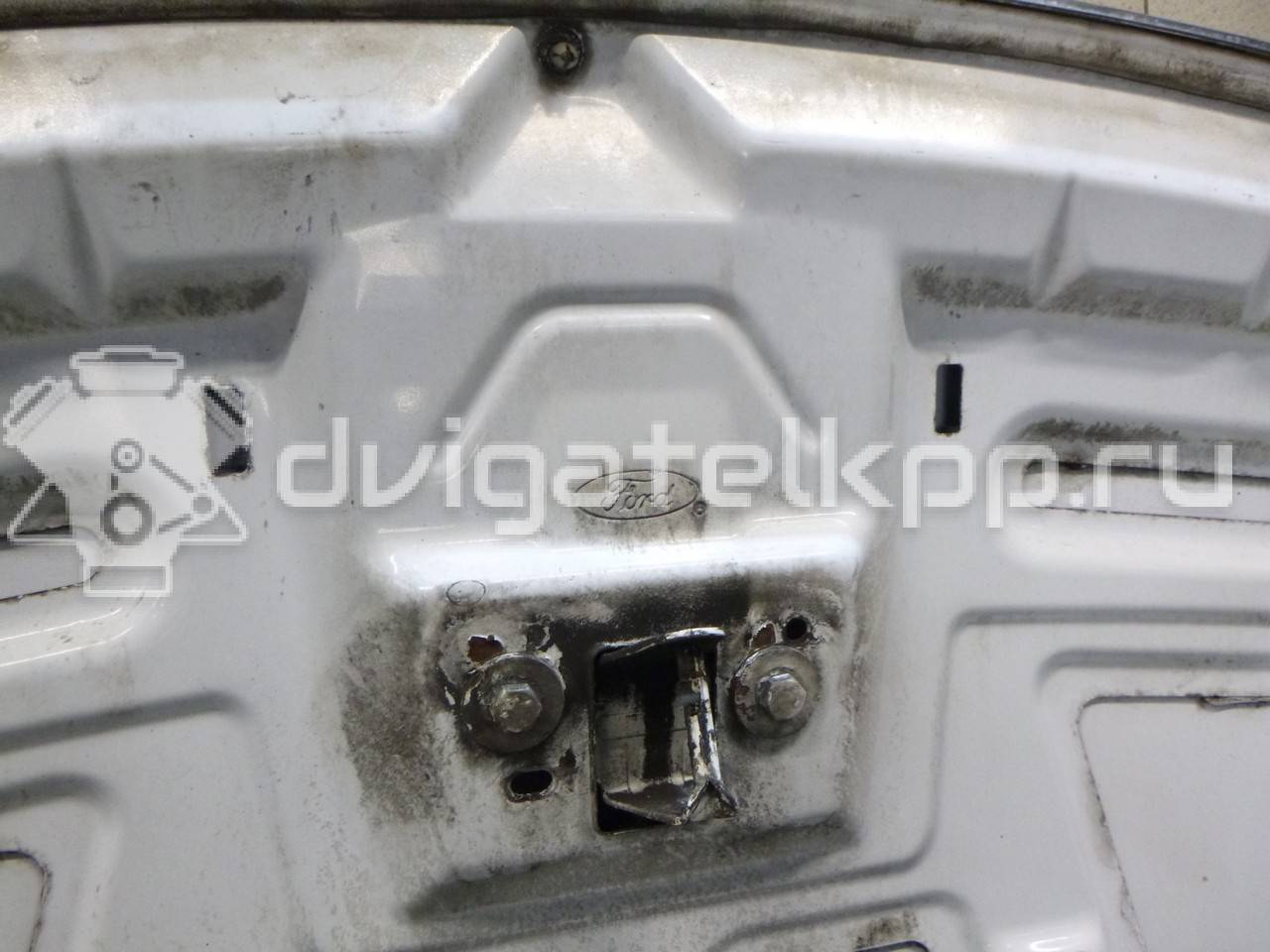 Фото Капот  1521601 для Ford Focus {forloop.counter}}