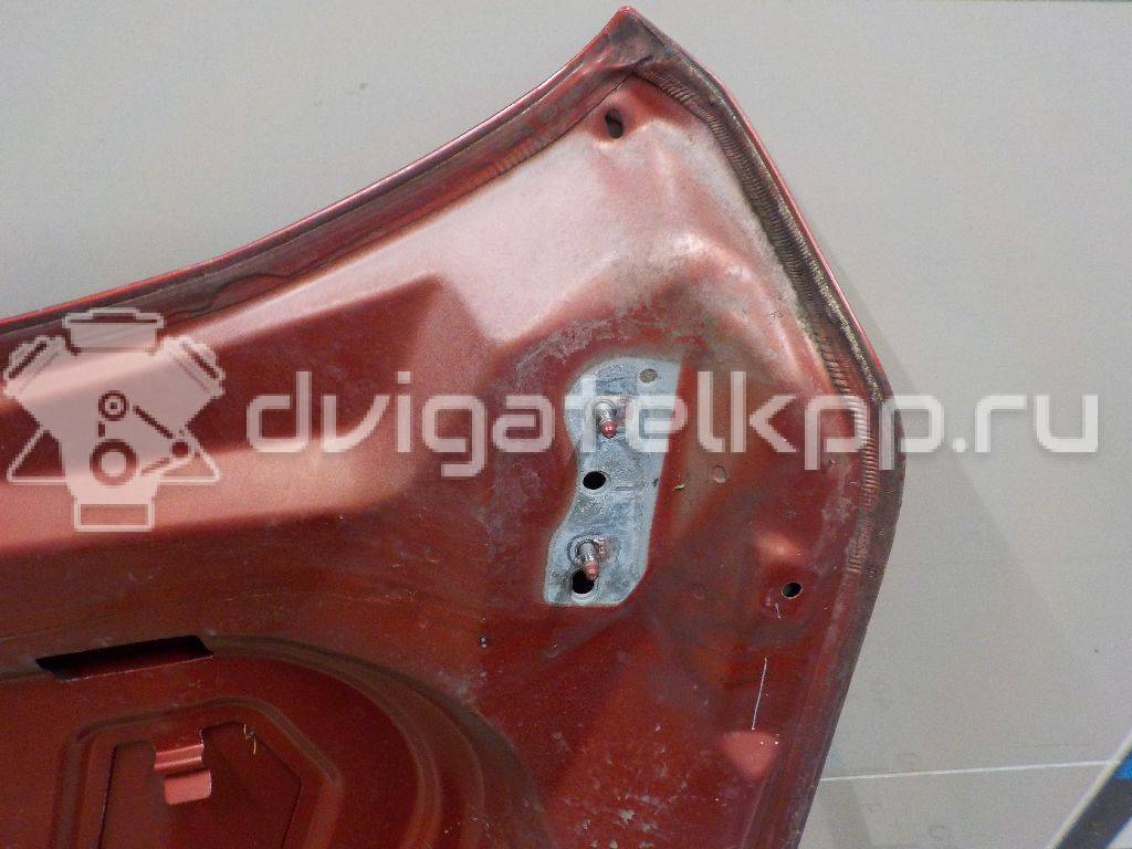 Фото Капот  1521601 для Ford Focus {forloop.counter}}