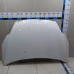 Фото Капот  1521601 для Ford Focus {forloop.counter}}