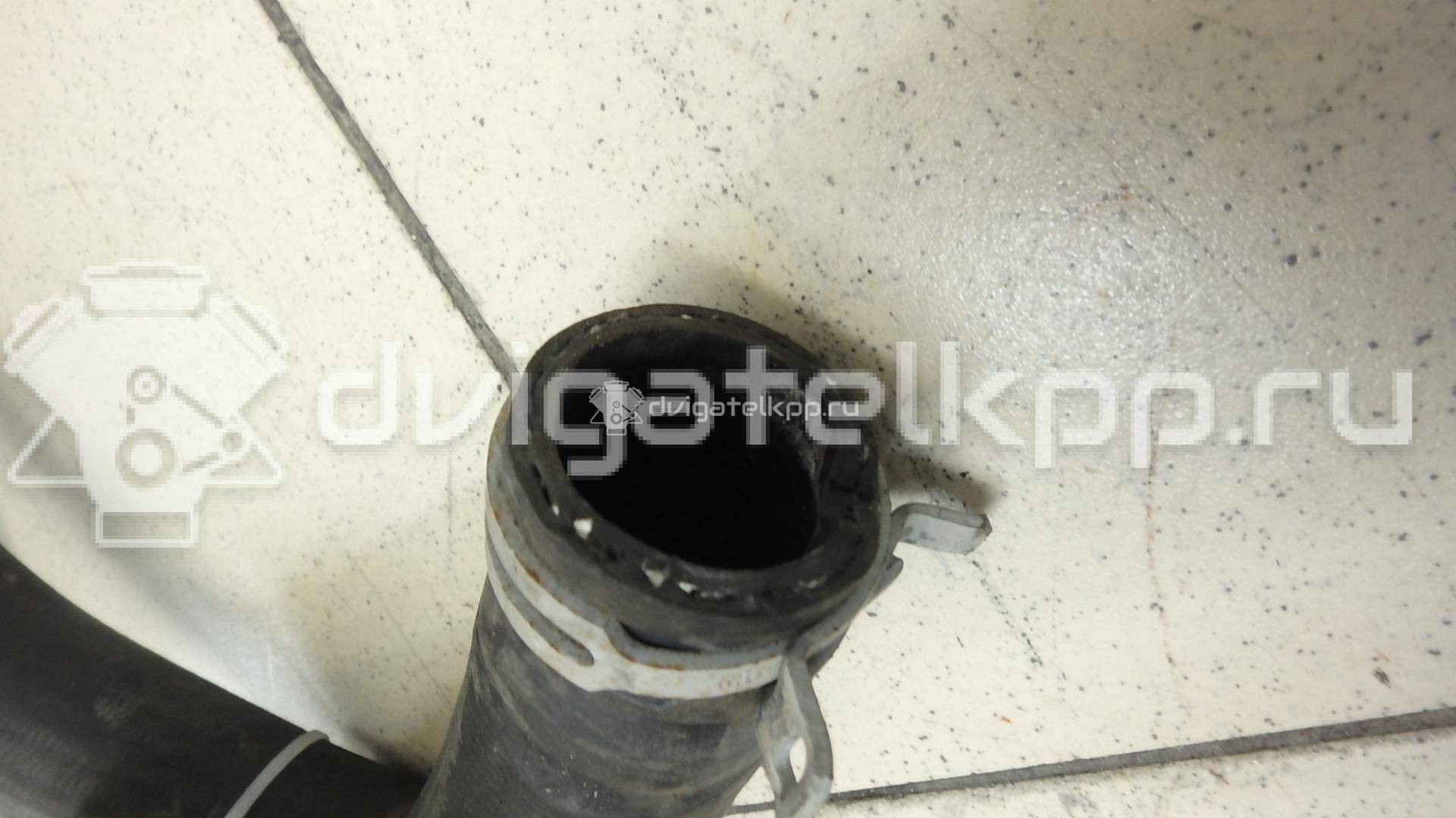 Фото Патрубок радиатора  1469442 для Ford Transit {forloop.counter}}
