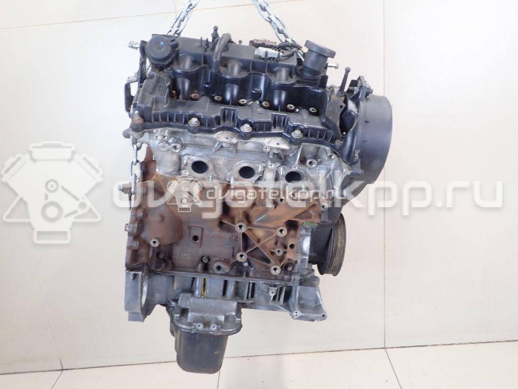 Фото Контрактный (б/у) двигатель 276DT для Ford Australia / Land Rover 190 л.с 24V 2.7 л Дизельное топливо {forloop.counter}}