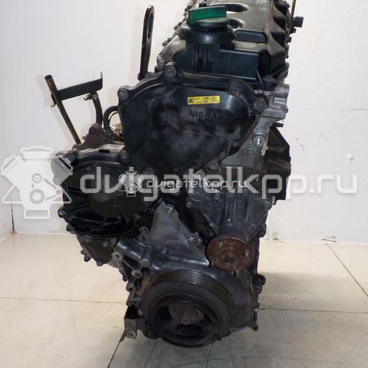 Фото Контрактный (б/у) двигатель  для nissan Navara (D40)  V   10102EC00A