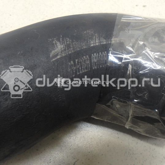 Фото Патрубок интеркулера  14463EC02A для Nissan Np300