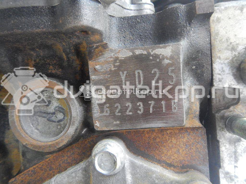 Фото Контрактный (б/у) двигатель YD25DDTi для Nissan Bassara / Nv350 E26 / Serena / Sani / Presage 100-190 л.с 16V 2.5 л Дизельное топливо {forloop.counter}}