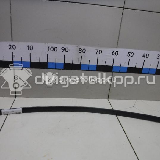 Фото Молдинг передней левой двери  1U4853515C для Skoda Octavia