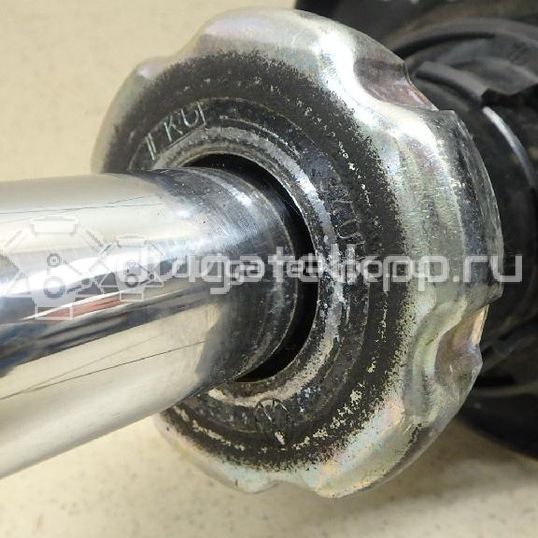 Фото Амортизатор передний  5N0413031K для Volkswagen Scirocco / Tiguan / Touran / Sharan / Eos 1F7, 1F8