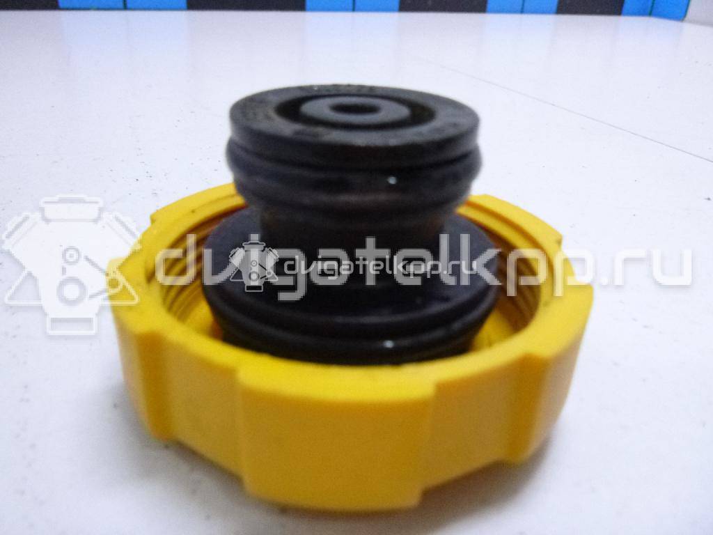 Фото Крышка расширительного бачка  1304677 для cadillac BLS {forloop.counter}}