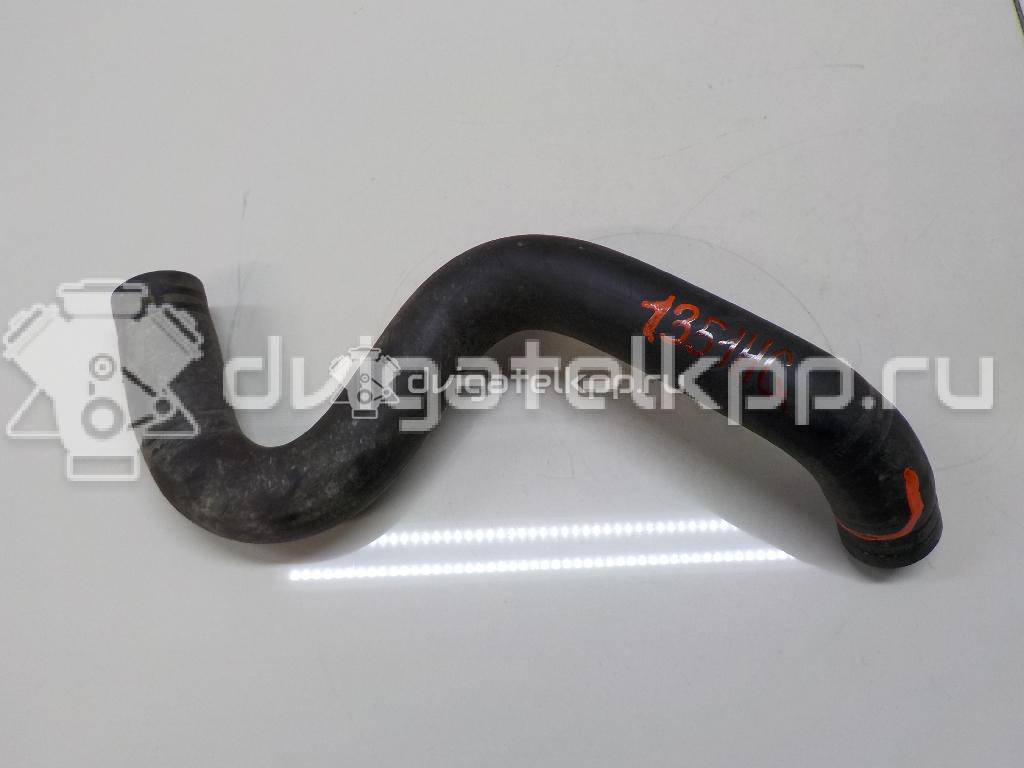 Фото Патрубок радиатора  1351hg для Citroen Berlingo {forloop.counter}}