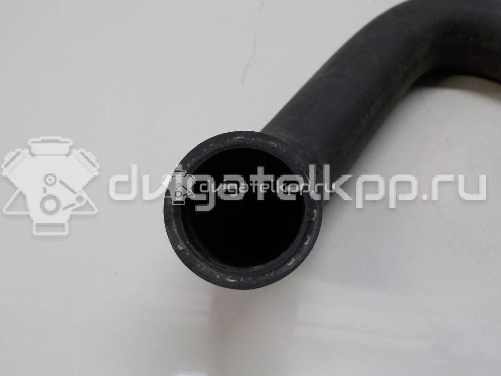 Фото Патрубок радиатора  1351hg для Citroen Berlingo {forloop.counter}}