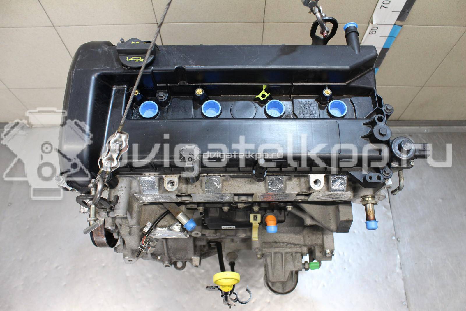 Фото Контрактный (б/у) двигатель Q7DA для Ford Focus / C-Max 125 л.с 16V 1.8 л Бензин/спирт 1525799 {forloop.counter}}