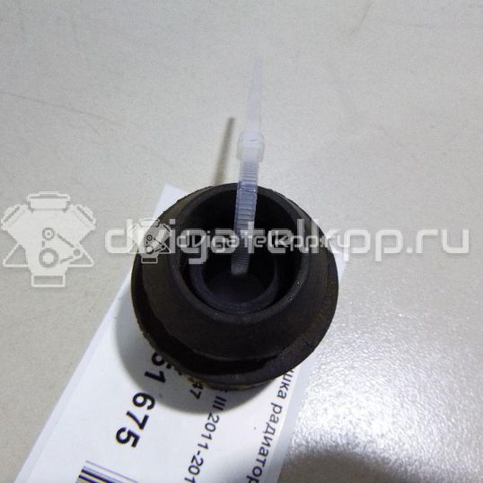 Фото Подушка радиатора  1235847 для Ford Focus / Tourneo / C-Max / Grand / Kuga