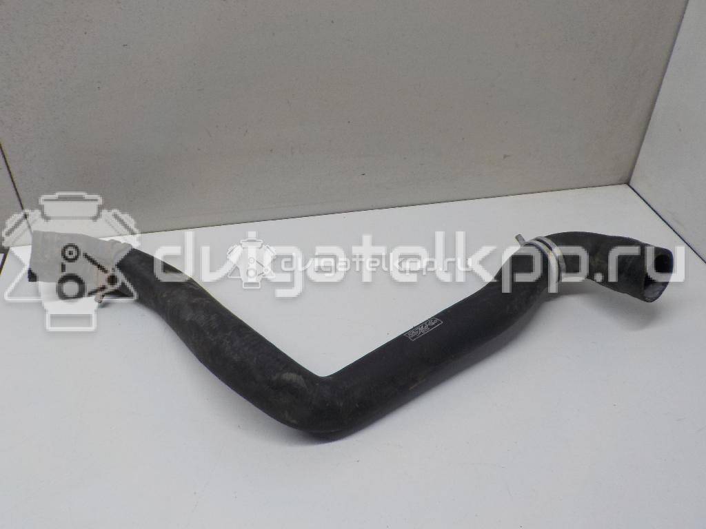 Фото Патрубок радиатора  3m5h8260bh для Ford Focus {forloop.counter}}
