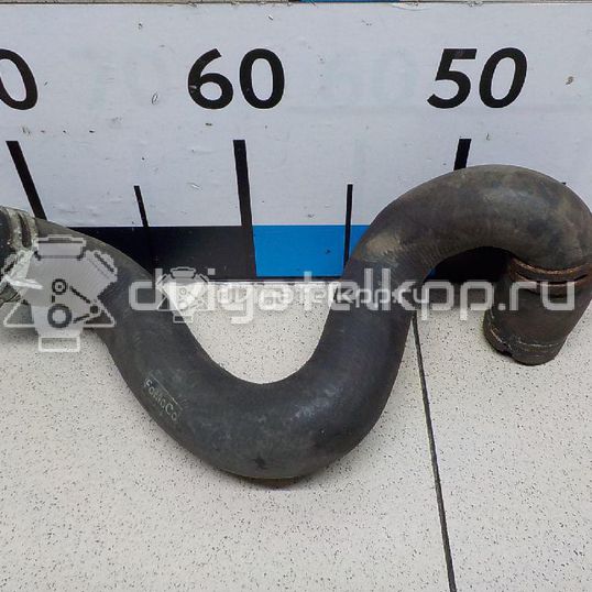 Фото Патрубок радиатора  1384145 для Ford Focus / C-Max