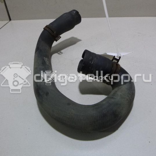 Фото Патрубок радиатора  1384148 для Ford Focus / C-Max