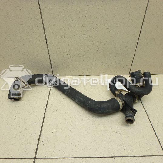 Фото Патрубок радиатора  1469442 для Ford Transit