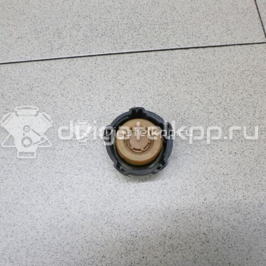 Фото Крышка расширительного бачка  8200048024 для Nissan Primastar X83 / Micra / Note / Nv200 / Kubistar