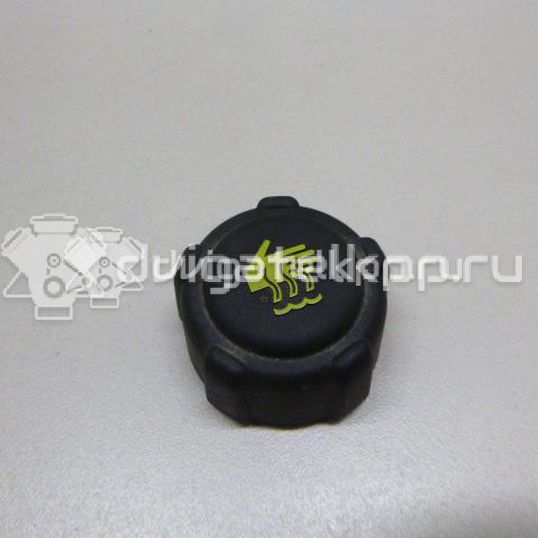 Фото Крышка расширительного бачка  8200048024 для Nissan Primastar X83 / Micra / Note / Nv200 / Kubistar