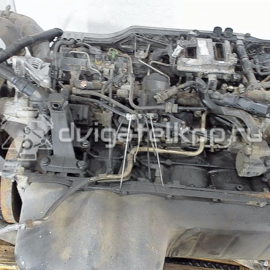 Фото Головка блока  51031006170 для Subaru / Suzuki / Citroen / Vauxhall / Fiat / Man / Vw (Svw) / Bmw (Brilliance) / Erf / Rover