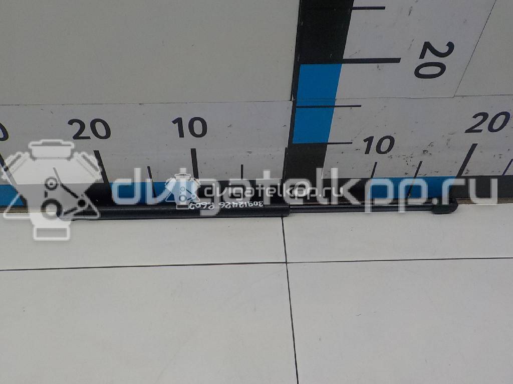Фото Амортизатор крышки багажника  8731H4 для Peugeot 607 9D, 9U {forloop.counter}}