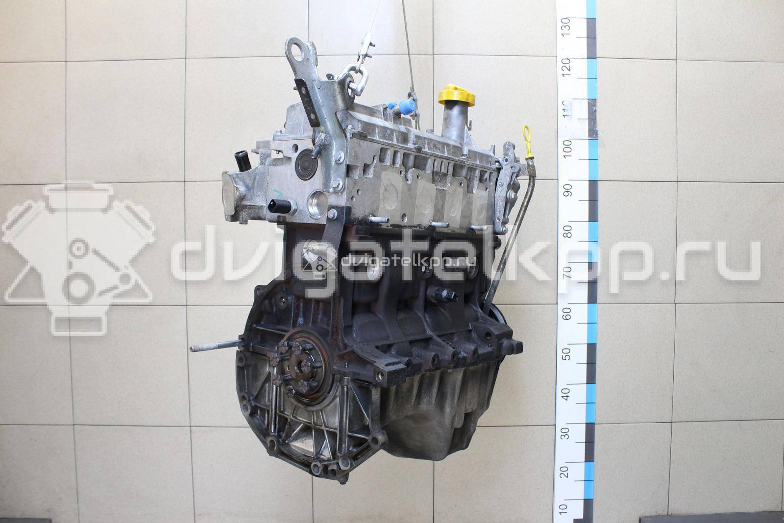 Фото Контрактный (б/у) двигатель K7M 710 для Renault / Dacia 87 л.с 8V 1.6 л бензин 8201109282 {forloop.counter}}