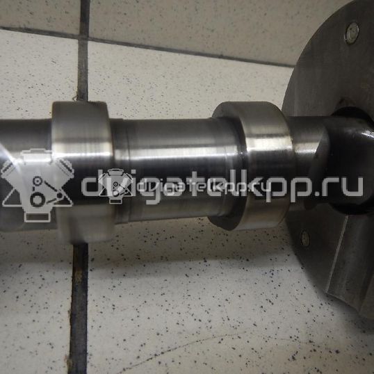 Фото Распредвал впускной  06H109021K для seat Alhambra