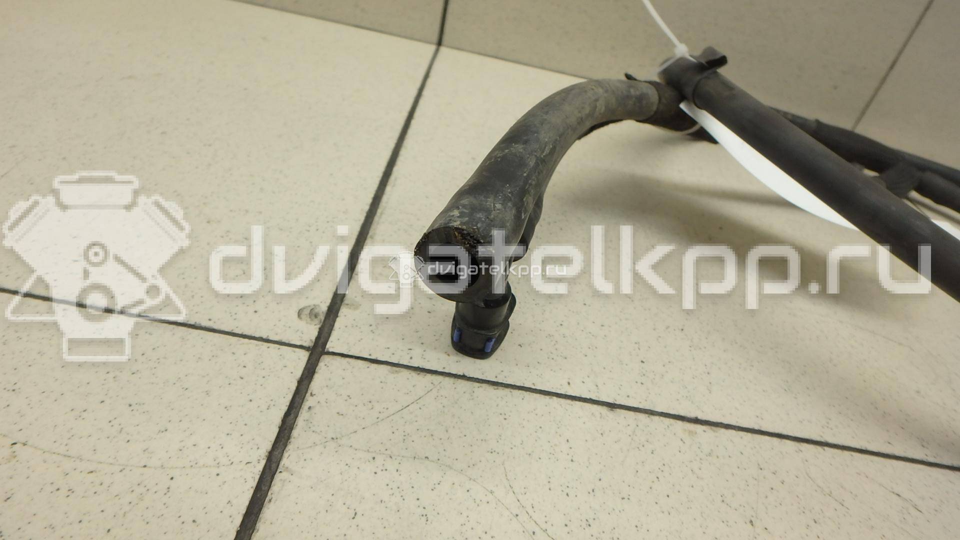 Фото Шланг омывателя  1J0955964F для seat Alhambra {forloop.counter}}