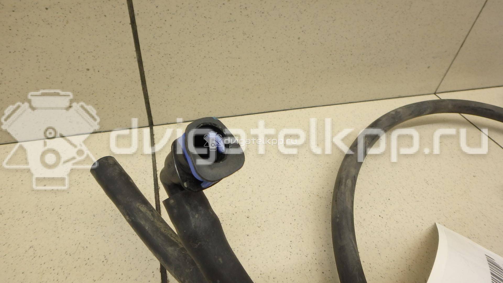 Фото Шланг омывателя  1J0955964F для seat Alhambra {forloop.counter}}