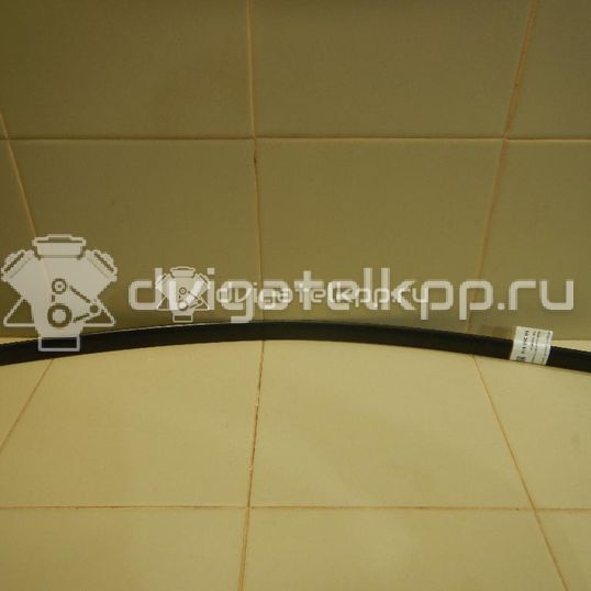 Фото Молдинг передней правой двери  1U4853516C для Skoda Octavia