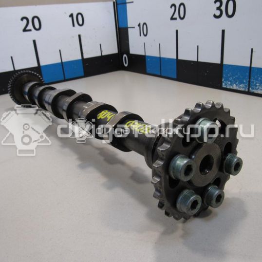 Фото Распредвал впускной  059109009bk для Volkswagen Phaeton 3D