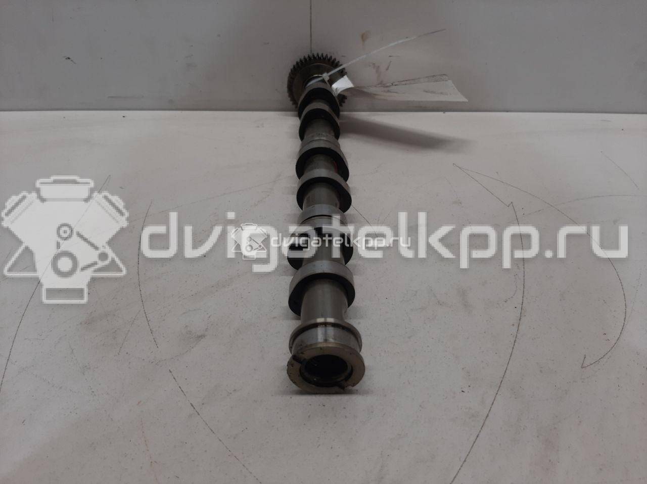 Фото Распредвал выпускной  059109022be для Volkswagen Phaeton 3D {forloop.counter}}