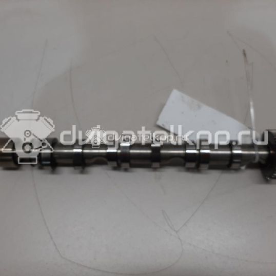 Фото Распредвал выпускной  059109009bl для audi A4 [B7]