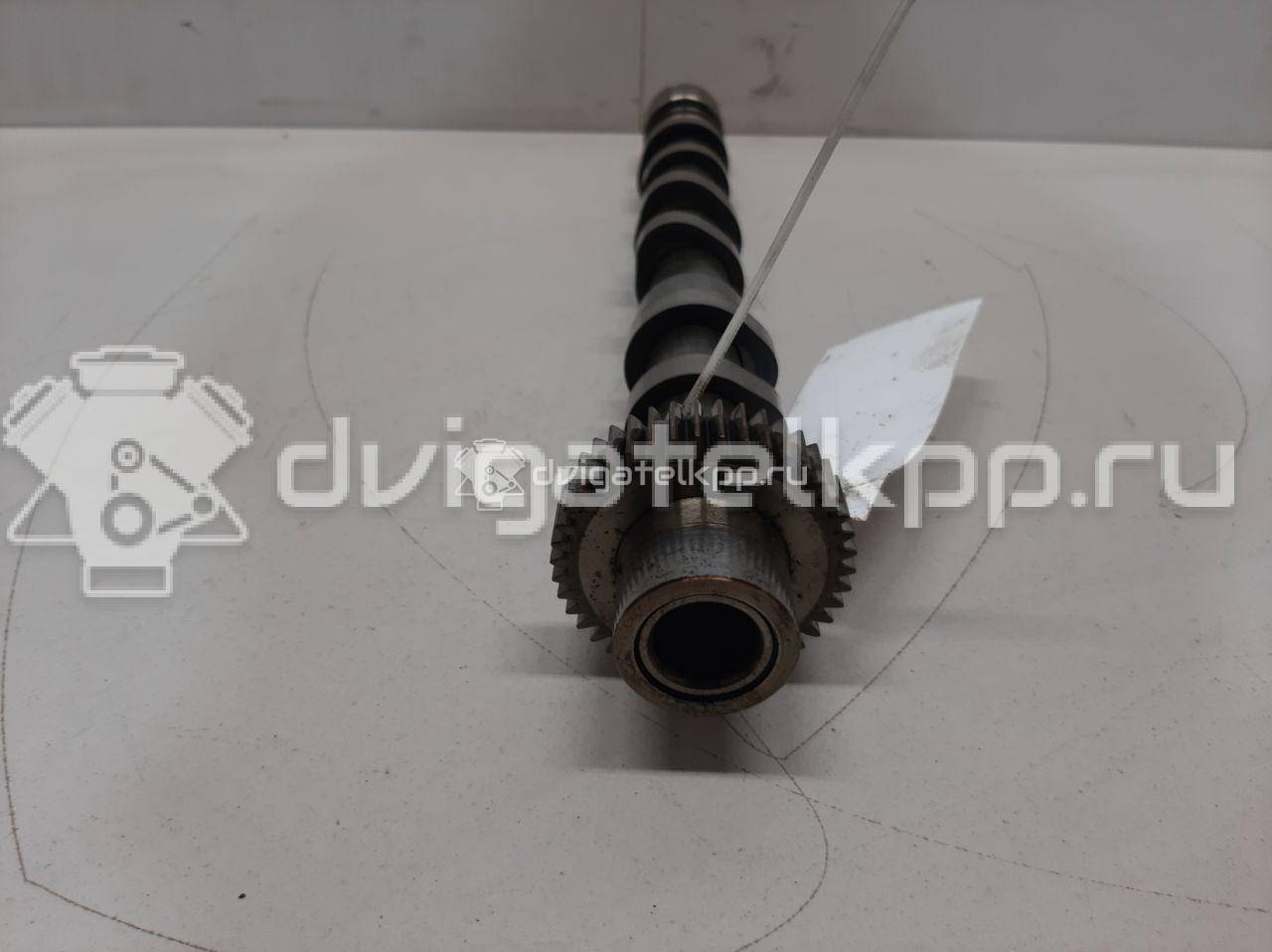 Фото Распредвал выпускной  059109009bl для audi A4 [B7] {forloop.counter}}