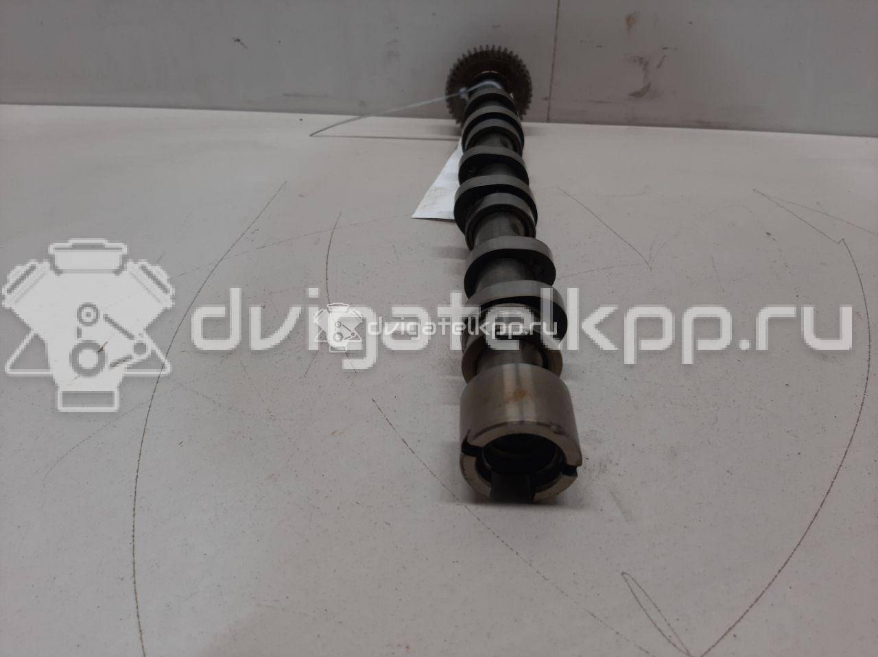 Фото Распредвал выпускной  059109009bl для audi A4 [B7] {forloop.counter}}