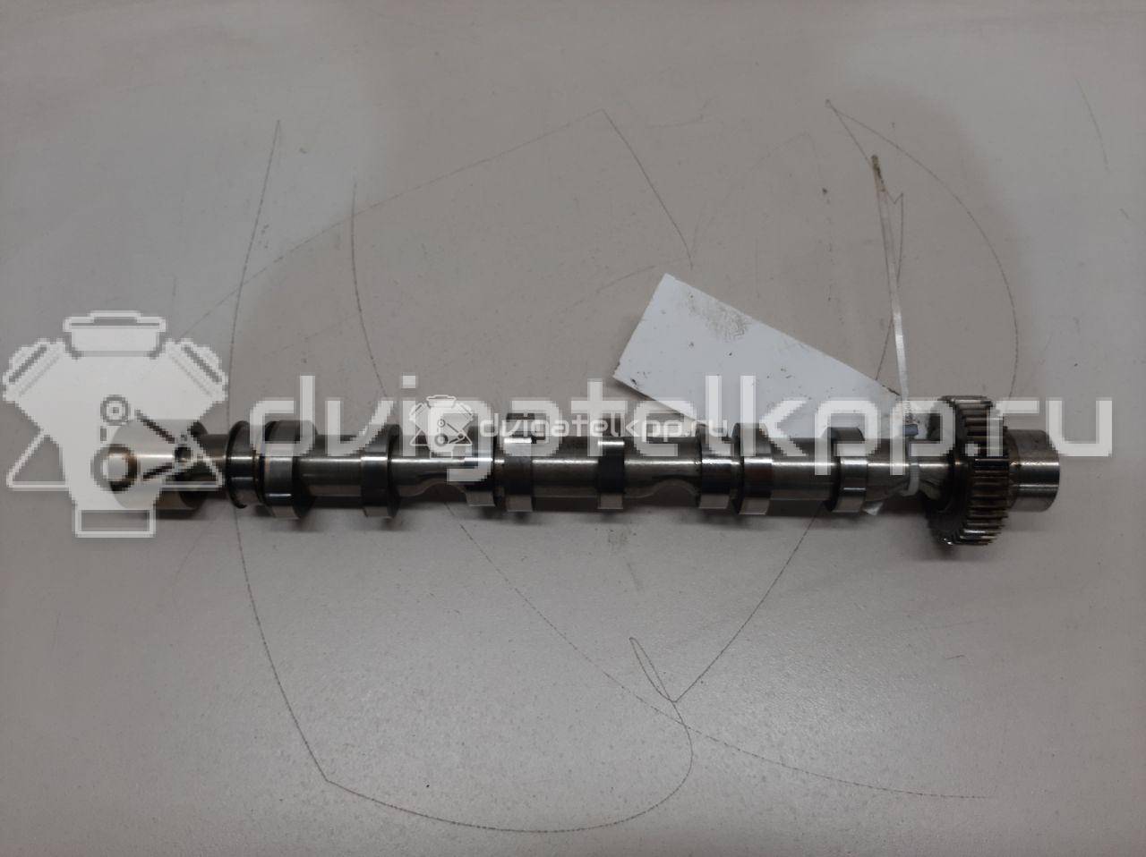 Фото Распредвал выпускной  059109009bl для audi A4 [B7] {forloop.counter}}