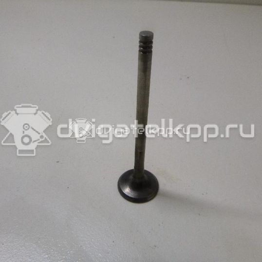 Фото Клапан впускной  059109601b для Volkswagen Passat