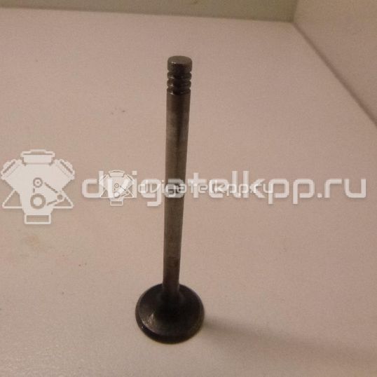 Фото Клапан впускной  059109601b для Volkswagen Passat