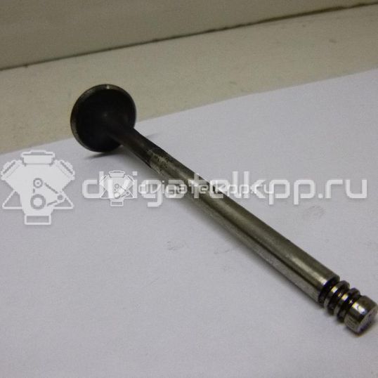 Фото Клапан выпускной  059109611B для Volkswagen Passat