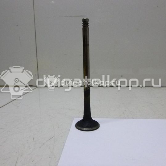 Фото Клапан выпускной  059109611B для Volkswagen Passat