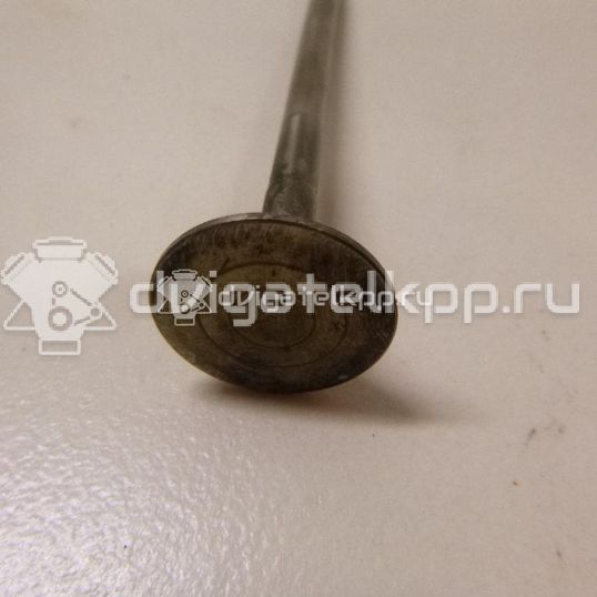 Фото Клапан выпускной  059109611B для Volkswagen Passat