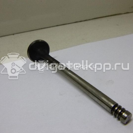 Фото Клапан выпускной  059109611B для Volkswagen Passat