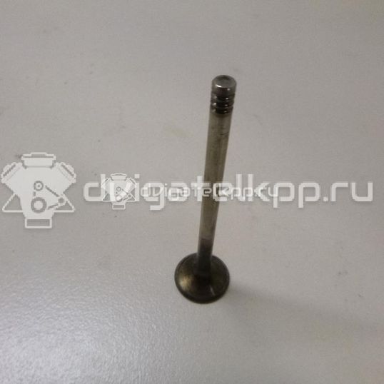 Фото Клапан выпускной  059109611B для Volkswagen Passat