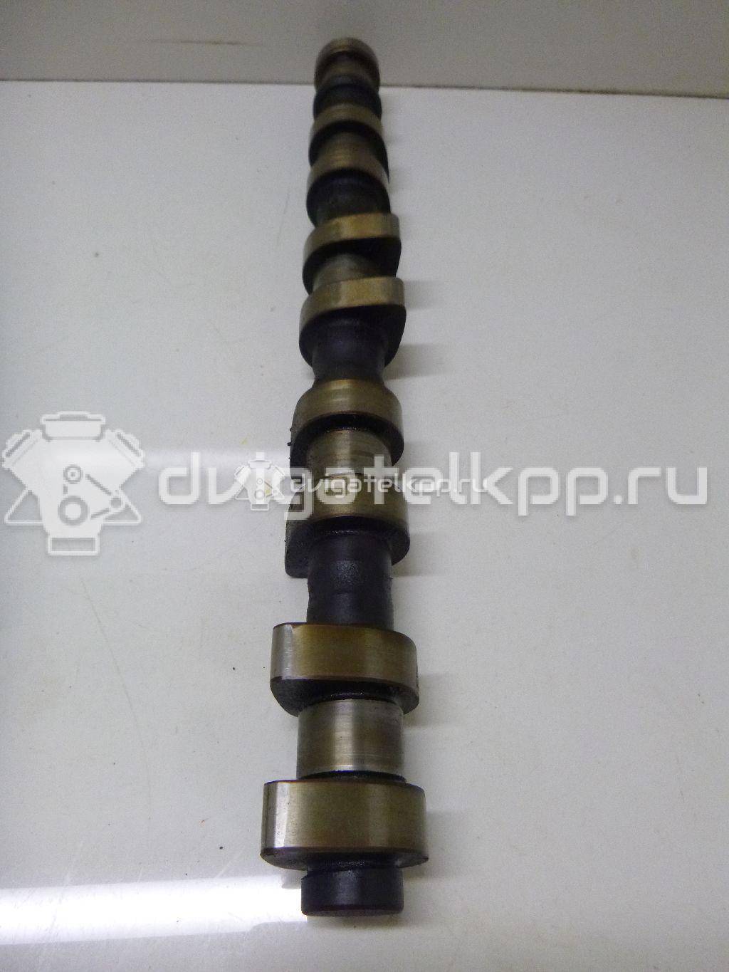 Фото Распредвал впускной  636181 для Opel Tigra / Astra / Corsa / Vectra / Zafira {forloop.counter}}