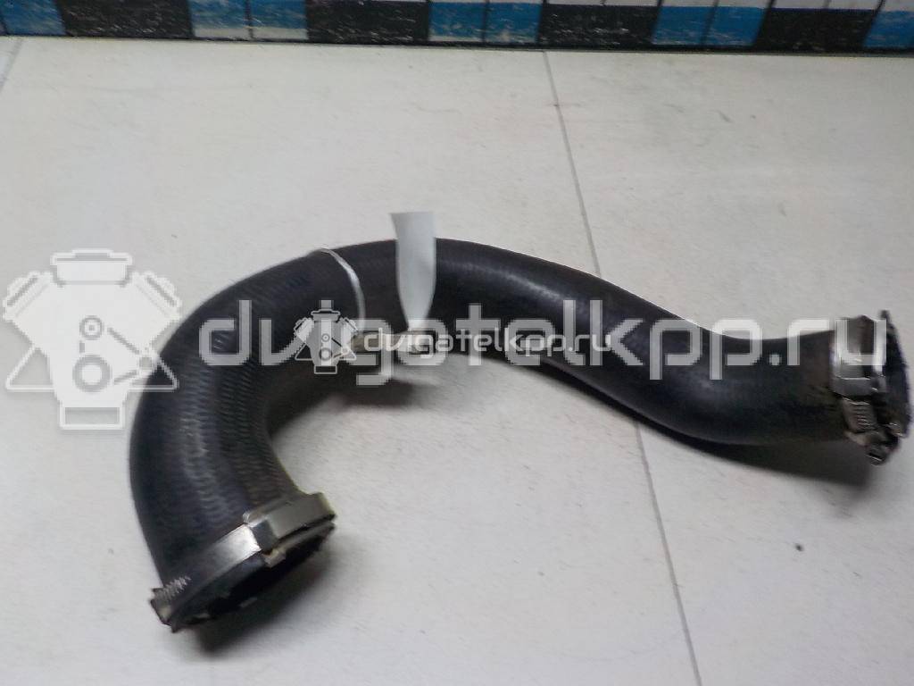 Фото Патрубок интеркулера  8k0145738ah для Audi A5 / A4 {forloop.counter}}