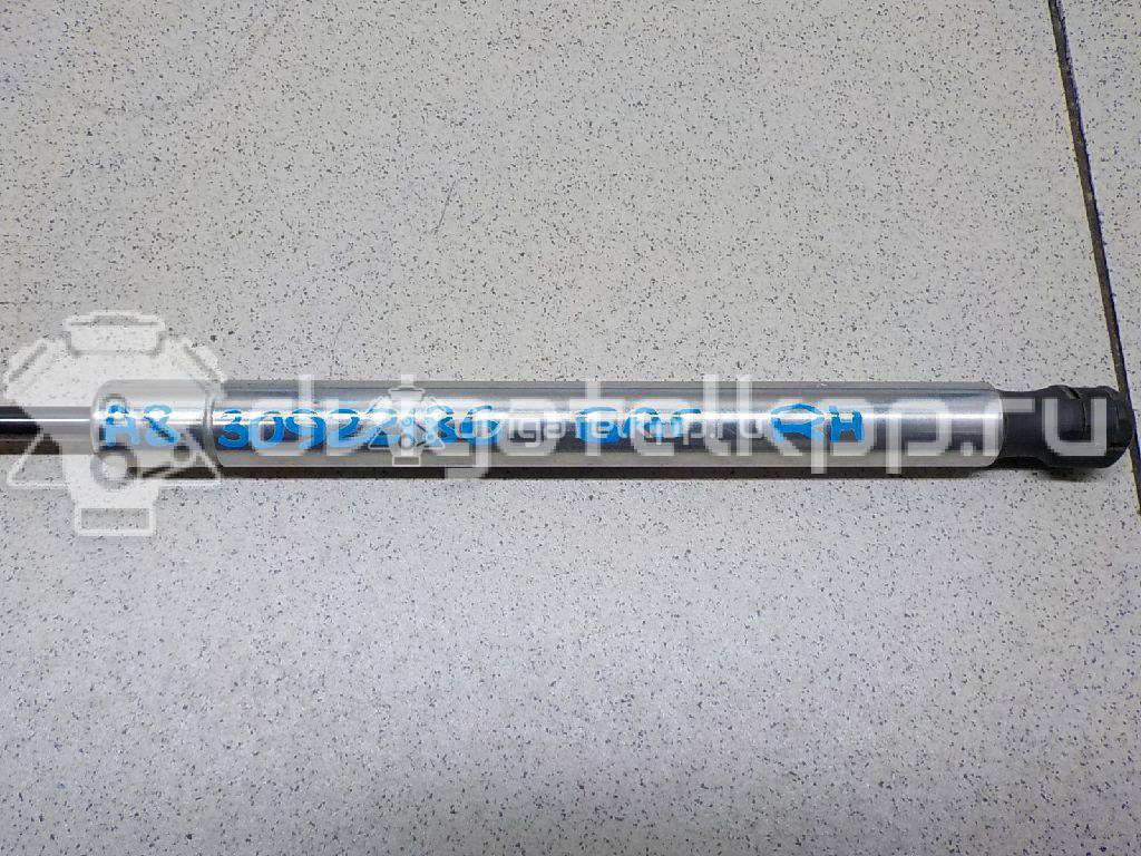 Фото Амортизатор крышки багажника  4E0827552C для Audi A8 {forloop.counter}}